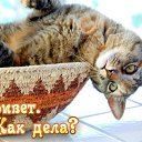 ���� ������;-), ��������, 49 ��� - ��������� 28 ������� 2015 � ������ �������� ��������