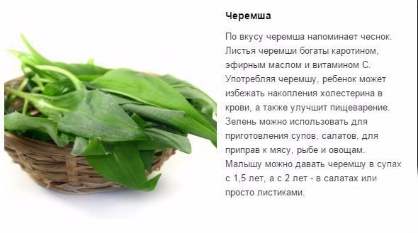 Можно ли есть листья. Какую зелень можно кушать. Какую зелень можно при гастрите. Зелень при гастрите какие можно кушать. Зелень при гастрите.