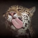 ���� Viktor, ����� - ��������� 28 ������� 2015 � ������ ���� ����������