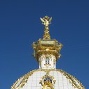 ���� �����, �����-���������, 51 ��� - ��������� 20 ������� 2016 � ������ �� ������