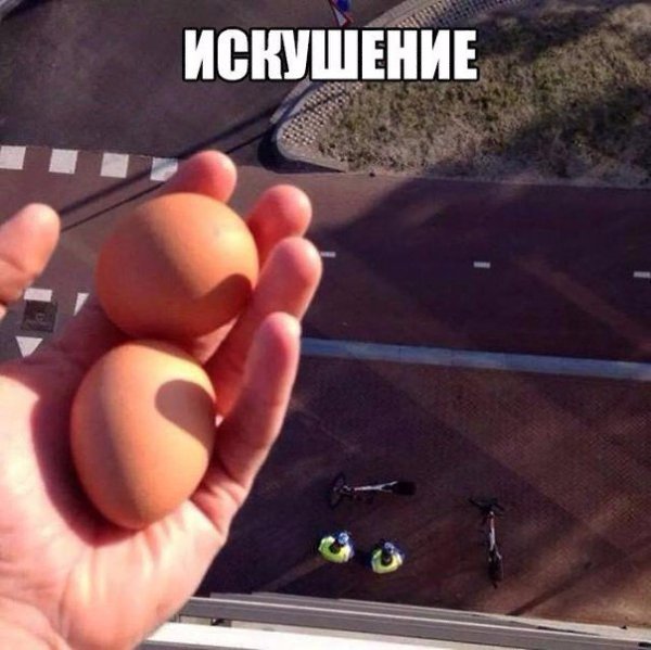���������....