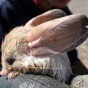 ���� �����, �����-��������� - ��������� 25 ������� 2015 � ������ ������ ��������