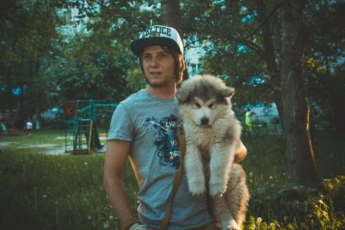 Маламут, который рос не по дням, а по часам.#animal@travel.blog