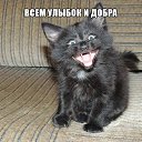 ���� ��������, �����-��������� - ��������� 12 ������� 2015 � ������ �* ��������! *�