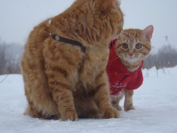 Metallica и Esenin - 3