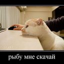 ���� ������, �����, 60 ��� - ��������� 28 ������� 2016 � ������ ������ ��������