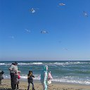 ���� Masia, ������ - ��������� 31 ������� 2015 � ������ ������ ��������