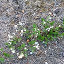  , , 60  -  5  2016     2015