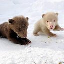 ���� Lee, ������ - ��������� 13 ������ 2015 � ������ �������)))�