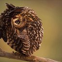 ���� �����, �������� - ��������� 3 ������ 2016 � ������ ���� ����������