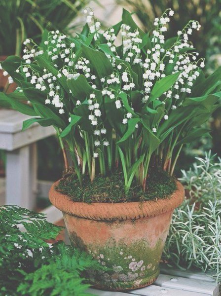 ������ ����� ���� 5 ����, �� ��� ����� � ��� ������ � ���� � ������ �� �������� - 2