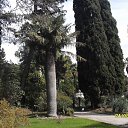 ����. ���������. ���� �������� ������. �� ������� �������