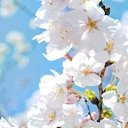 ���� �����!!������� ������, ������������ - ��������� 15 ������ 2015 � ������ ������ ��������