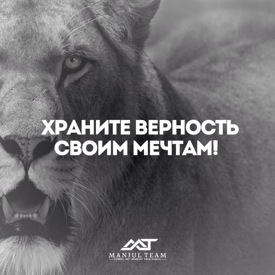 SportFeed - 6  2016  05:43