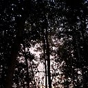 ����� ������ �� ���� �� ������� ���� ����������