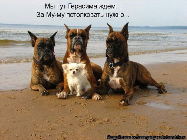 ����������. - 5 ������ 2015 � 20:02