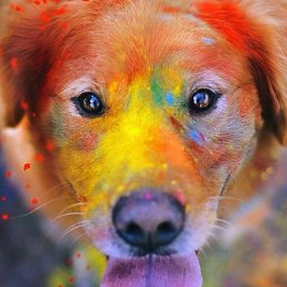 ���������, ������, 24 ����