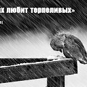 ���� �����, ������, 39 ��� - ��������� 7 ����� 2016 � ������ ������ ��������