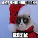 ���� �����, ������ - ��������� 29 ������ 2016 � ������ ���� ����������