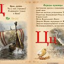���� �����, �����-���������, 43 ���� - ��������� 4 ����� 2016 � ������ ������ ��������
