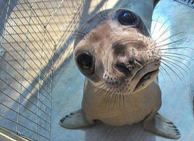 Завтра пятница ?