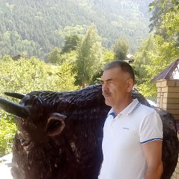 ������, ������������, 64 ����