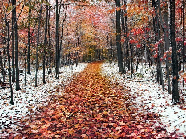   - 24  2015  11:16 - 5