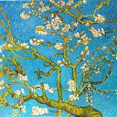 ���� ������, ��������� - ��������� 5 ������ 2015 � ������ ���� ����������