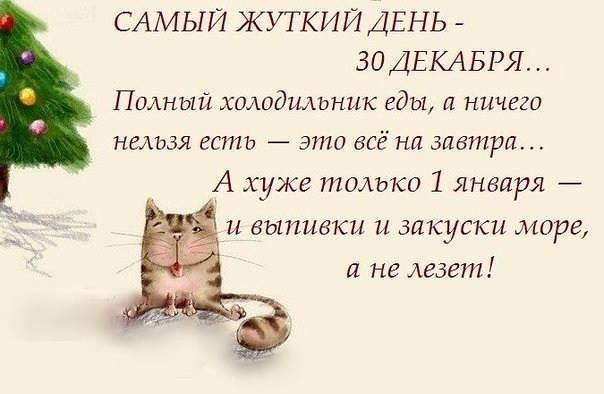Альбина - 28 декабря 2015 в 06:49
