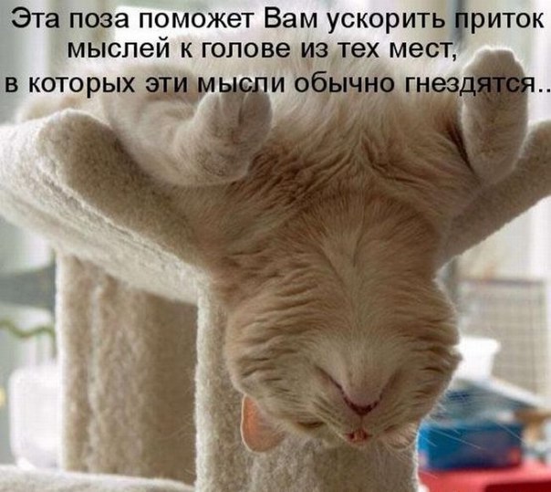  -  - 28  2016  01:22