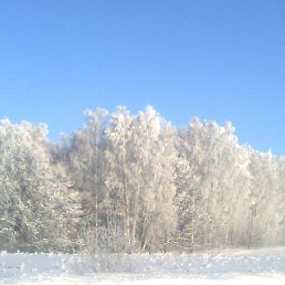 ���� Alex, ������ ��������, 40 ��� - ��������� 24 ������ 2016