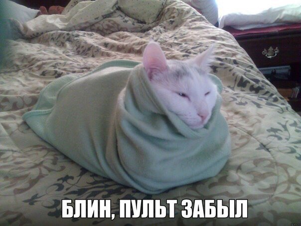   :-) - 7  2015  01:05