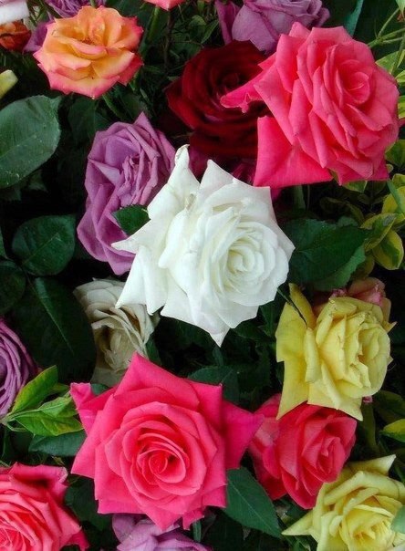 ���� ��� �����, �� ���������������. �� ������ ������� ������ ������� �����. - 6