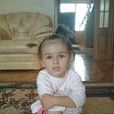 ���� ������, ���������, 51 ��� - ��������� 26 �������� 2015 � ������ ���� ����������