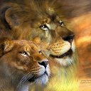 ���� Viktor, ����� - ��������� 2 ������ 2015 � ������ ���� ����������