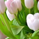 ���� ��������� ���������, ��������� - ��������� 6 ����� 2016 � ������ ���� ����������