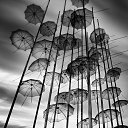 ���� ���������, ������, 50 ��� - ��������� 15 ������ 2016 � ������ ������ �����