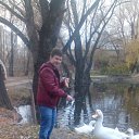 ���� ������, ����, 42 ���� - ��������� 12 ������� 2015 � ������ ������� �����