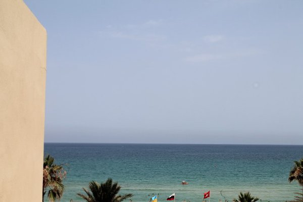 �����, Novostar Palmyra 3*, 2014 - 4