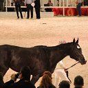 ���� ������, �����-���������, 70 ��� - ��������� 4 ������� 2015 � ������ ��� ������ �������� � �����-����������