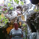 ���� ������� ��������, �����������, 61 ��� - ��������� 23 ������ 2016 � ������ ���� ����������