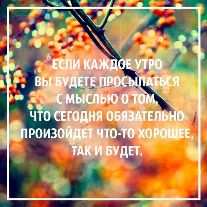   - 1  2015  10:00