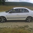 ���� �����, �����������, 40 ��� - ��������� 13 ������� 2015 � ������ ���� ����������