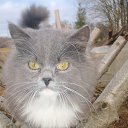 ���� Hu, ����, 60 ��� - ��������� 6 ������ 2016 � ������ �������