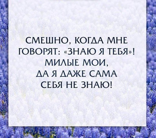   - 11  2016  22:36