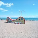 ���� Ansar, ����������� - ��������� 22 ������ 2016 � ������ ���� ����������