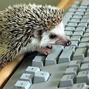 ���� ������, �����-��������� - ��������� 12 ������ 2016 � ������ ���� ����������