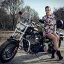 ���� ����, ������, 40 ��� - ��������� 11 ������� 2015 � ������ ���� ����������