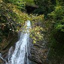 ���� �������� �� ������� �����