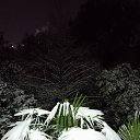 26.01.2016. �� ������� ���� ����������